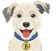 Fred the Dog